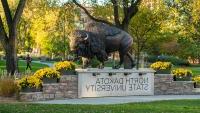 NDSU Bison Statue